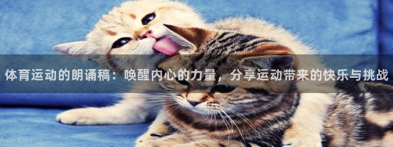 蓝鲸体育app安卓版