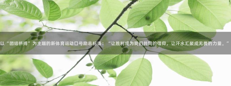 蓝鲸体育app官方下载